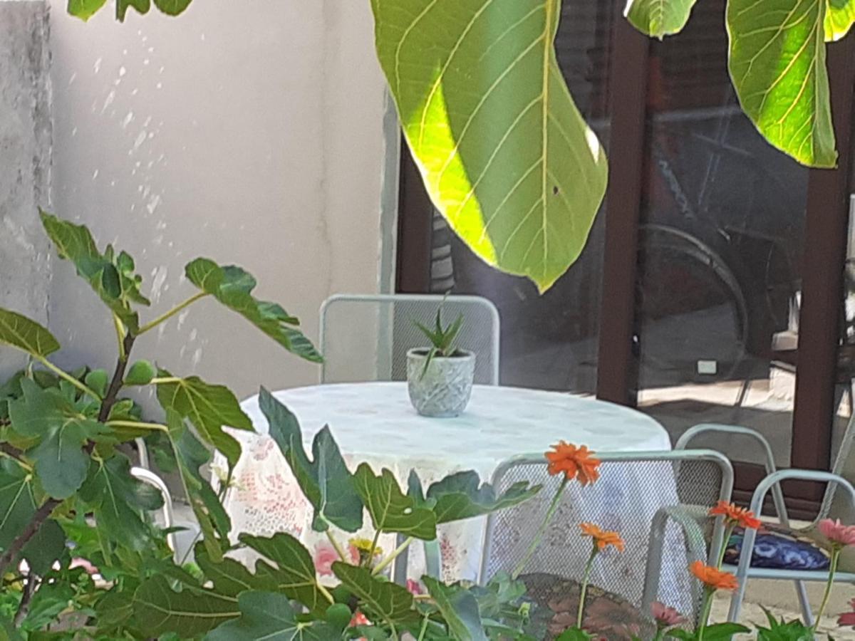 Apartment Helena 塞尼 外观 照片