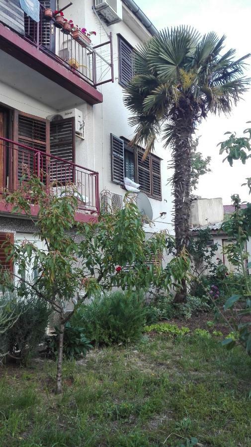 Apartment Helena 塞尼 外观 照片